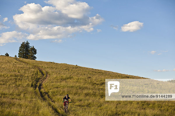 A male mountain biker the rides the amazing singletrack of Docters Park Trail  Crested Butte  CO