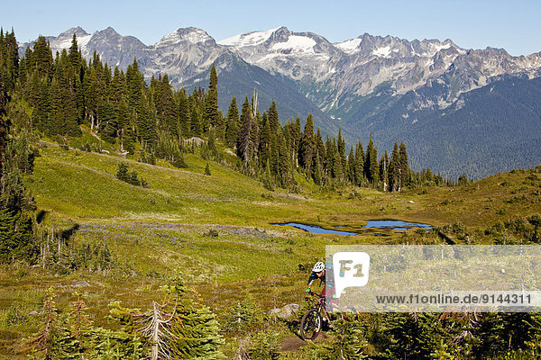 A male mountain biker rides the flowy  high alpine Frisby Ridge trail. Revelstoke  BC