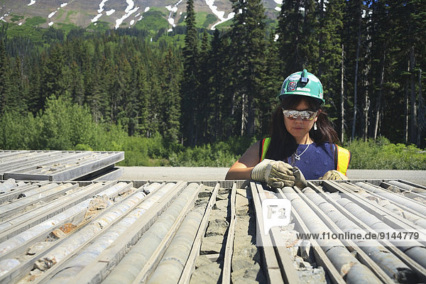 Mine worker Freda Campbell examining old drill core  Eskay Creek mine  Iskut  British Columbia