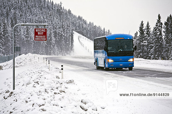 nahe  Winter  Zeichen  Tagesausflug  See  Bundesstraße  Omnibus  Ausdauer  unaufrichtig  Banff  Kanada  Signal  Weg