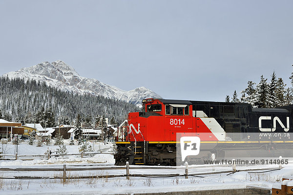 Nationalpark Reise Stadt Jasper Nationalpark Alberta Kanada kanadisch Fracht Zug