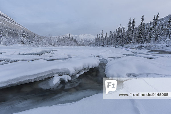 hoch  oben  nahe  Kälte  Winter  Fluss  tief  einfrieren  Yukon
