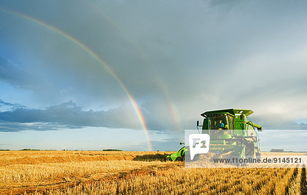 rainbow and combine harvester during the spring wheat harvest near Landmark  Manitoba  Canada