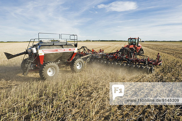 moving tractor and and air till seeder planting winter wheat in a zero till canola stubble field  Lorette  Manitoba  Canada