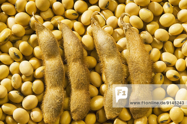 close-up of soybeans