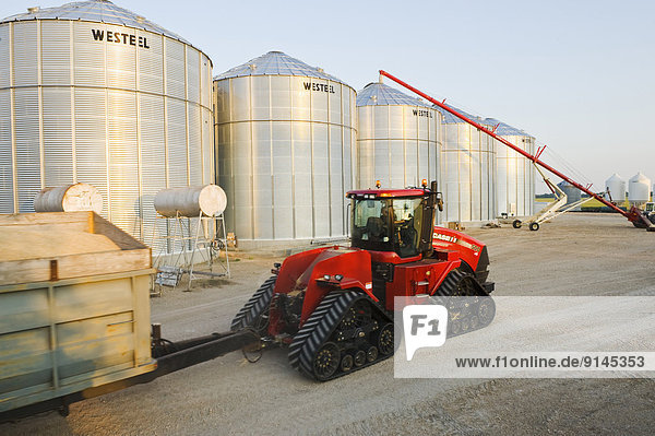 Getreide  Traktor  ernten  beladen  Weizen  aufbewahren  Kanada  Manitoba
