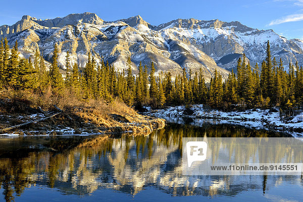 Miette mountain range in winter time reflected in the open waters of a warm spring in Jasper National Park  Alberta  Canada.