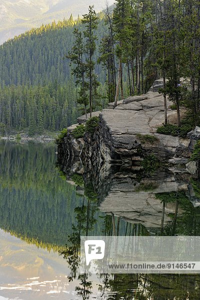 Jasper Nationalpark  Alberta  Kanada