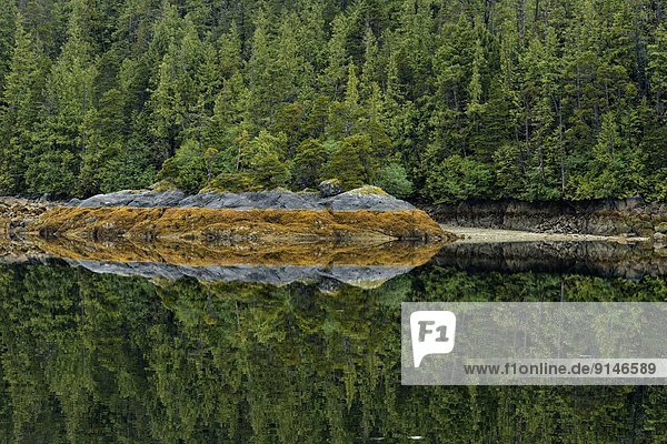 niedrig  Küste  Spiegelung  Gezeiten  Insel  Equinox  Gewölbe  Königin  British Columbia  Kanada  Haida  Reflections