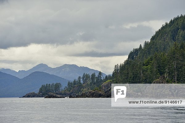 Insel  Geräusch  Königin  British Columbia  Kanada  Haida