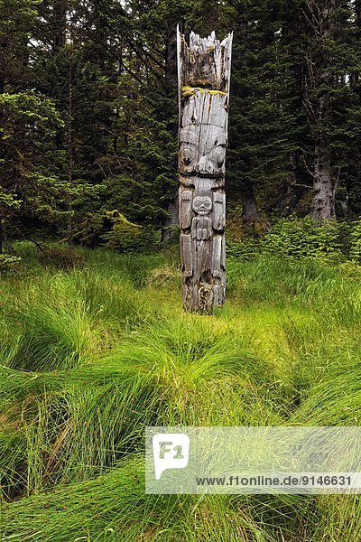 Nationalpark Stange Wachmann UNESCO-Welterbe British Columbia Kanada