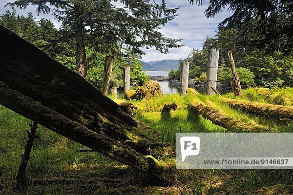 Nationalpark UNESCO-Welterbe British Columbia Kanada