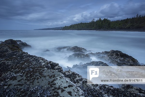 Felsen  lang  langes  langer  lange  Insel  vorwärts  Bucht  Botanik  British Columbia  Vancouver  Westküste