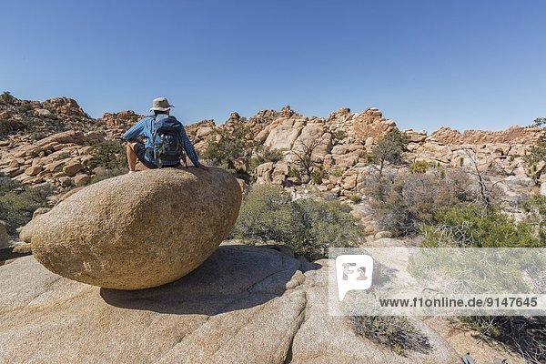 Felsbrocken  sitzend  Mann  Baum  Joshua Tree  Yucca brevifolia  Kalifornien