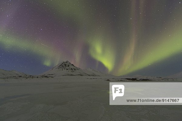 Dunkelheit  Nacht  Himmel  tanzen  Polarlicht  Aurora  Yukon