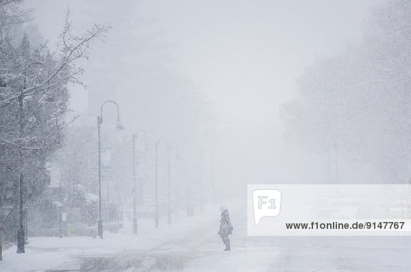 Person crossing a street during a snow storm in winter in Penticton  south Okanagan Valley of British Columbia  Canada.