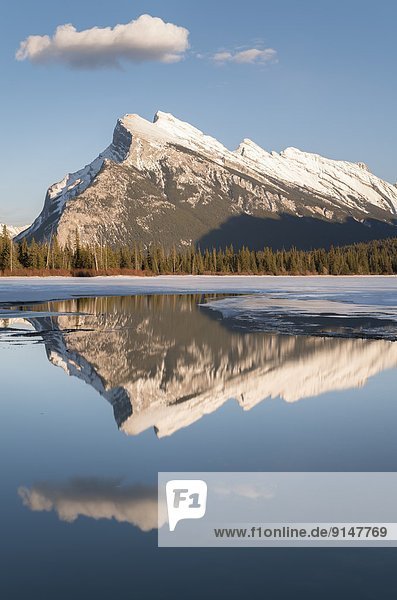 Mount Rundle reflecting on Vermilion Lakes in winter in Banff National Park  Alberta  Canada.