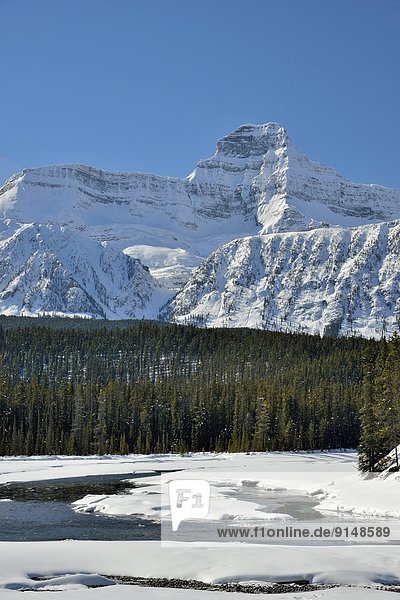 Hochformat  Berg  Winter  Fotografie  Felsen  Schneedecke  Fluss  vorwärts  Athabasca River  Jasper Nationalpark  Alberta  Kanada