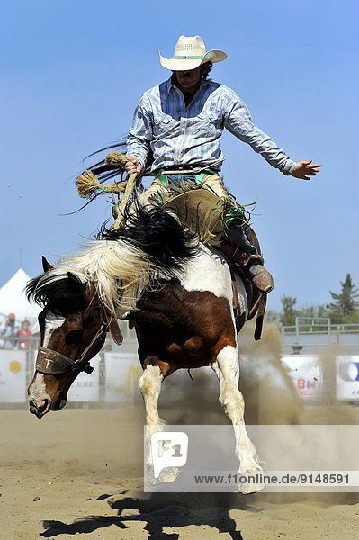 Fest  festlich  Reitsattel  Sattel  reiten - Pferd  bockend  Rodeo  Alberta  Kanada  Cowboy