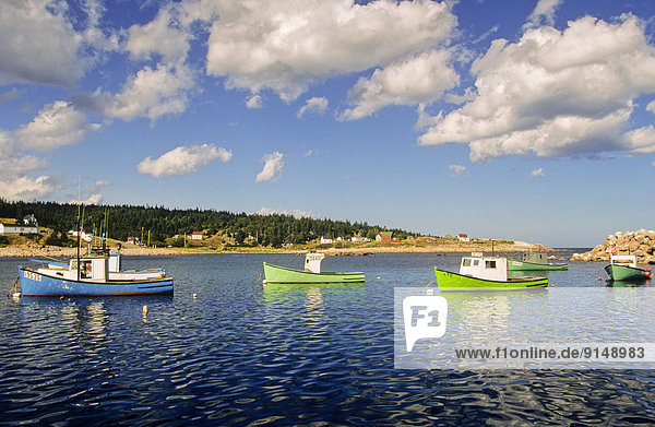 Fishing boats anchoed in New Haven Harbour  Cape Breton  Nova scotia  Canada