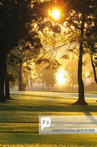 Fröhlichkeit Hügel Sonnenaufgang Golfsport Golf Kanada Kurs Ontario