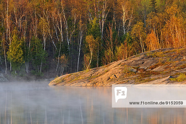 Wasserrand  See  Nebel  vorwärts  Kanada  Laub  Ontario