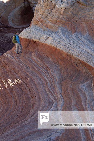 Hiker and sandstone at White Pocket  Pariah Canyon - Vermillion Cliffs Wilderness  Arizona  United States