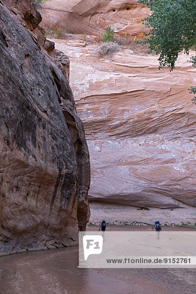 Backpackers in Coyote Gulch  Grand Staircase-Escalante National Monument   Utah  United States
