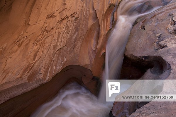 Water Flowing Through Canyon  Coyote Gulch  Grandstaircase-Escalante National Monument  Utah  United States