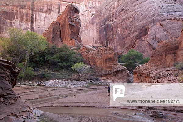 Hiker in canyon at Coyote Gulch  Grandstaircase-Escalante National Monument  Utah  United States