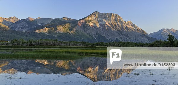 Morgendämmerung  Spiegelung  Teich  Waterton Lakes Nationalpark  Alberta  Kanada