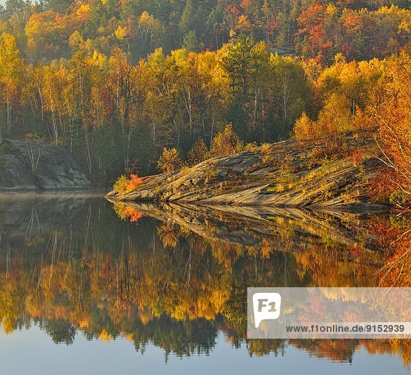 Morgen  Spiegelung  See  Nebel  Herbst  Greater Sudbury  Kanada  Ontario  Reflections