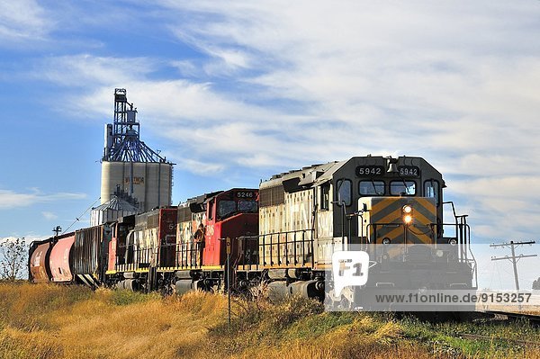 A Canadian National freight rain loading grain from a grain storage terminal near Morinville  Alberta  Canada