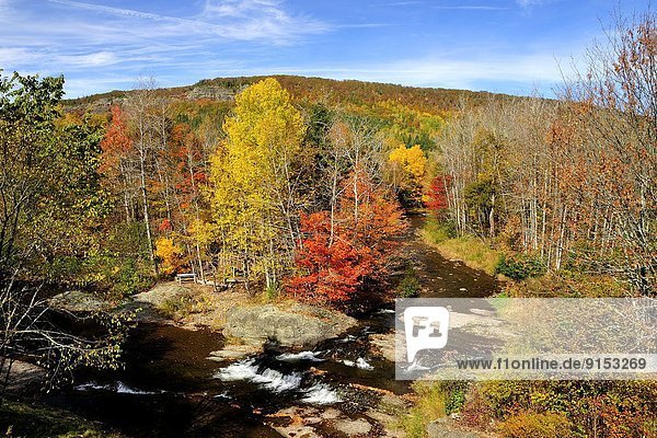 Brightly colored leaves adorne the deciduous forested landscape of eastern New Brunswick near Waterford N.B.Canada.