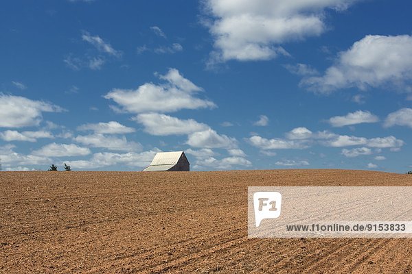 barn and ploughed field  Guernsey Cove  Prince Edward Island  Canada