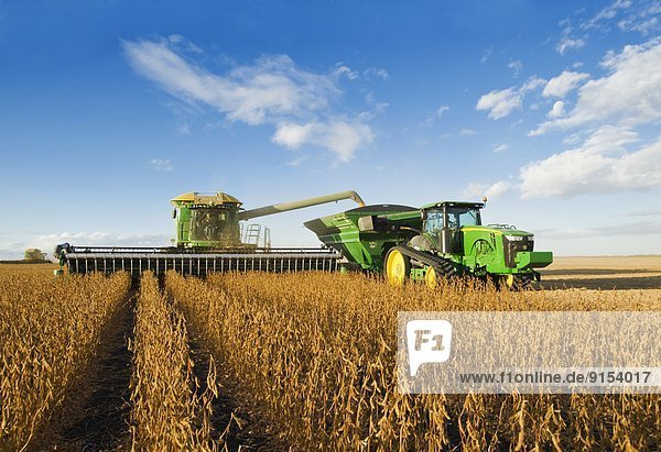 a combine harvester equiped with an air reel on the header  unloads soybeans into a grain wagon on the go during the harvest  near Niverville  Manitoba  Canada
