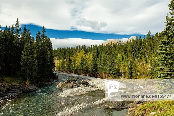 Kananaskis Country Alberta Kanada