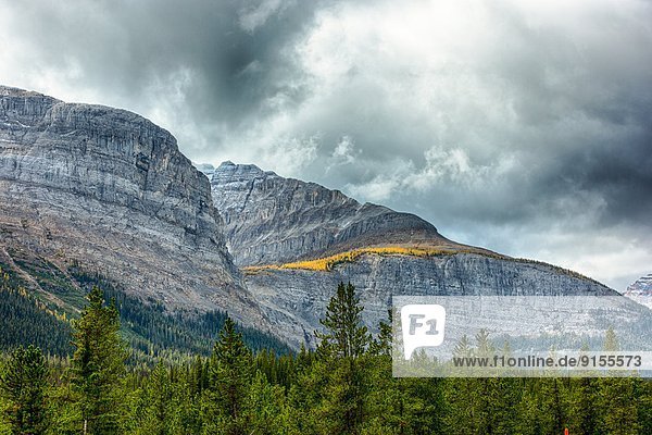 Yoho Nationalpark British Columbia Kanada