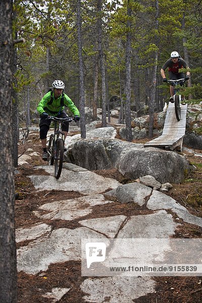 Two male mountain bikers riding the amazing singletrack in Carcross  Yukon