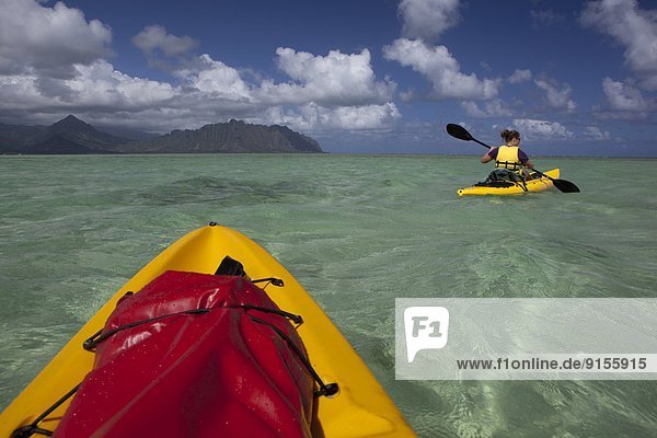 Kayaking in Kane'ohe Bay  Oahu  Hawai'i  United States of America