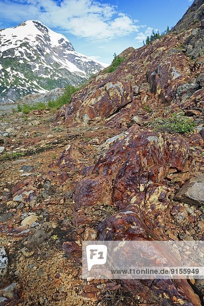 Mineral bearing sulphide outcrop called a 'gossan'  Stewart area  British Columbia