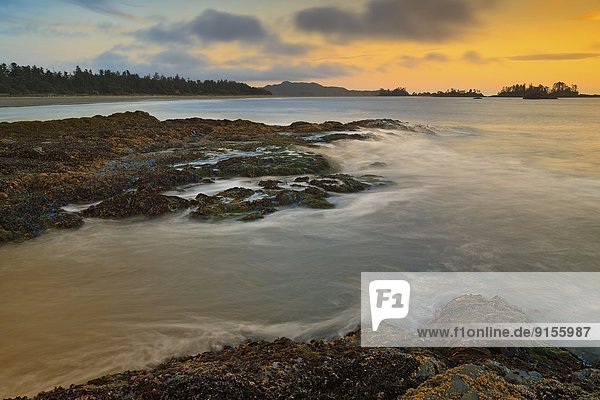 Rocky shoreline at sunset  Chesterman Beach  Tofino  British Columbia