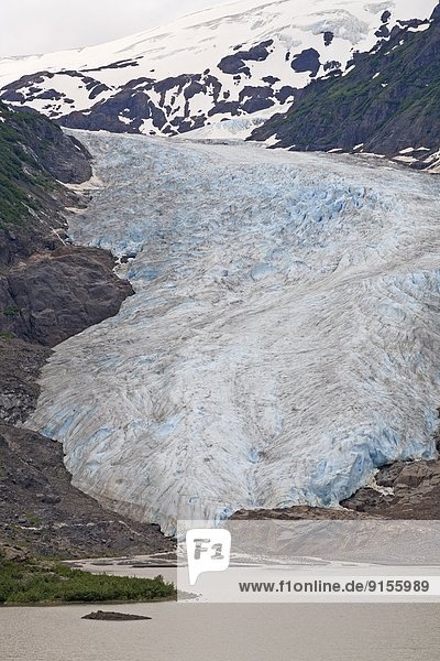 Bear Glacier and Strohn Lake  Bear Glacier Provincial Park  British Columbia