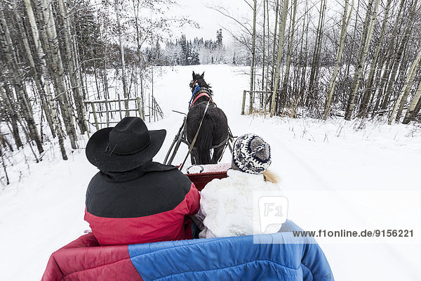 Canada  British Columbia  Cariboo Chilcotin region  sleigh ride  Christmas sleigh ride  winter  winter sleigh ride