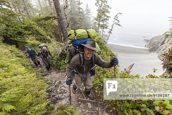 Hikers near Km 32 on the West Coast Trail negotiate a section of trail with a particularly steep drop. West Coast Trail  Vancouver Island  British Columbia  Canada