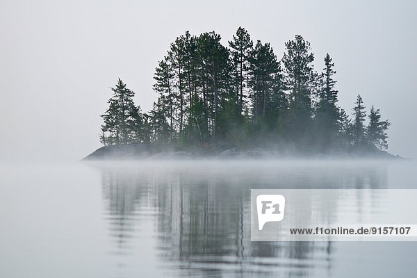 Island in Fog  Ontario  Canada