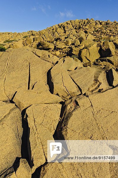 Bodenhöhe  Felsbrocken  bizarr  UNESCO-Welterbe  Neufundland  Tafelland  Kanada