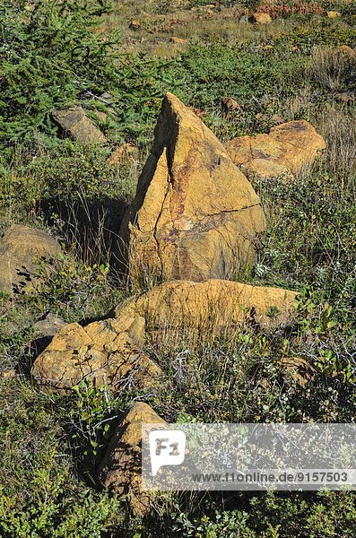 Bodenhöhe  Felsbrocken  bizarr  UNESCO-Welterbe  Neufundland  Tafelland  Kanada
