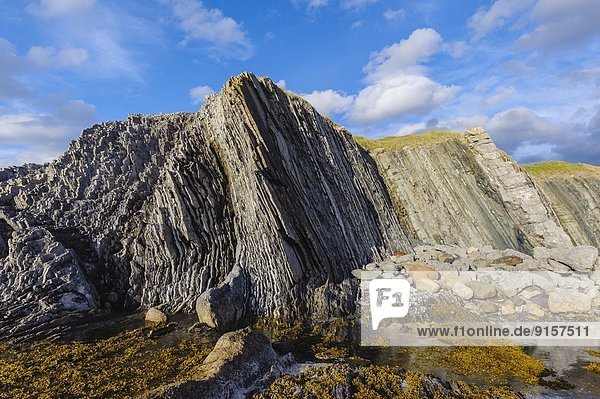 Erde Steilküste grün zeigen Neufundland Kanada links Kalkstein rechts Kalkschiefer