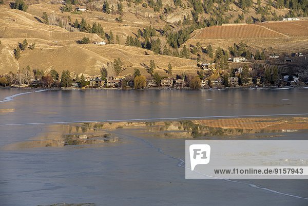Houses and vineyards along Skaha Lake in winter at sunset in Penticton  British Columbia  Canada